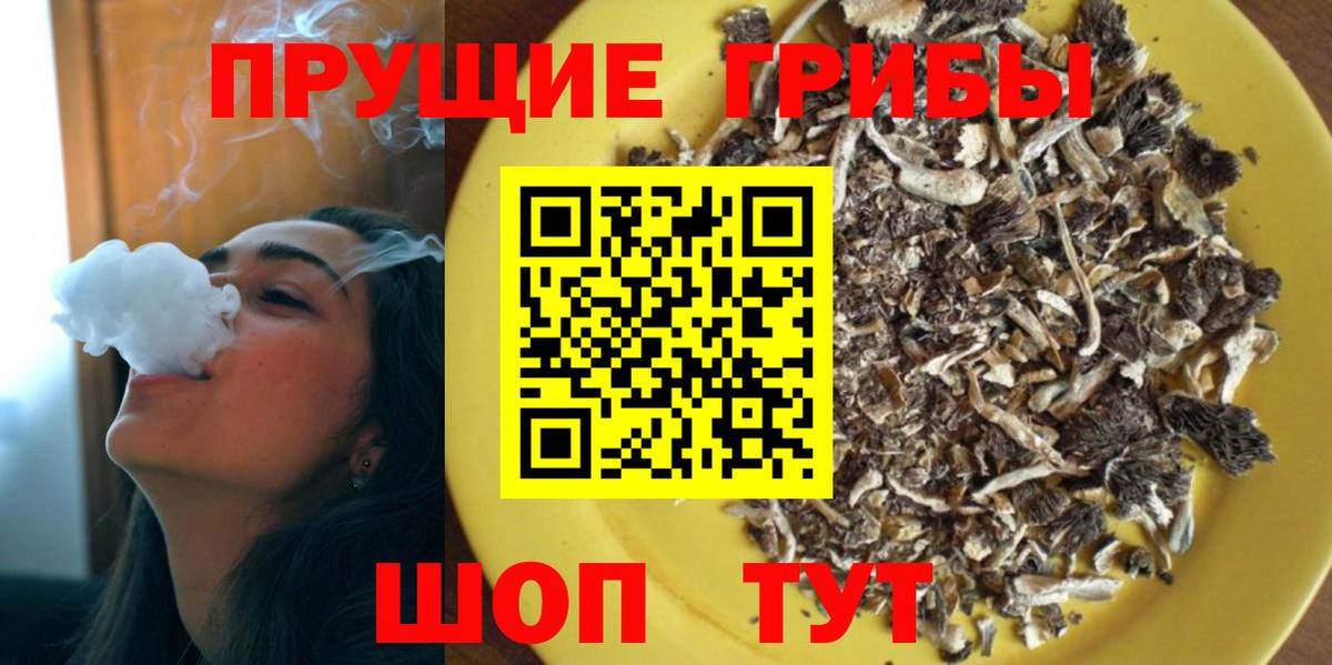 наркошоп  Вход с VPN  Псилоцибиновые грибы ЛСД  Орёл  Псилоцибиновые грибы GOLDEN TEACHER 