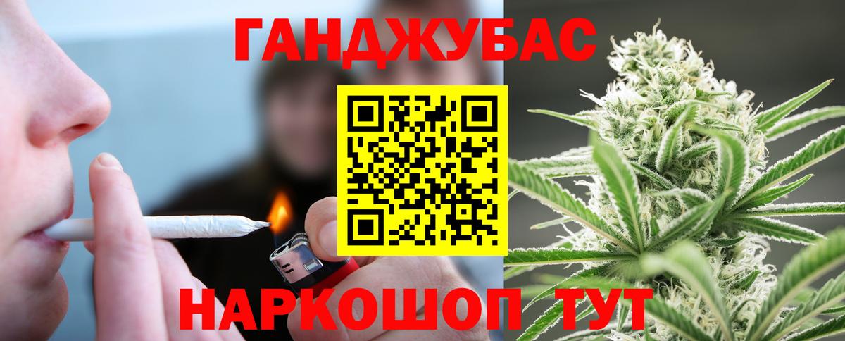 Конопля сатива Орёл